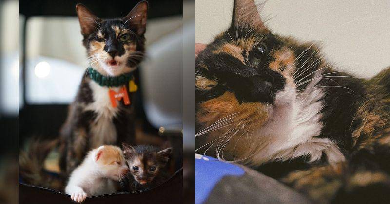 Instagram.com/wordfangs